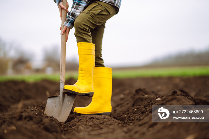 Female Worker digs soil with shovel in the vegetable garden. Agriculture and tough work concept