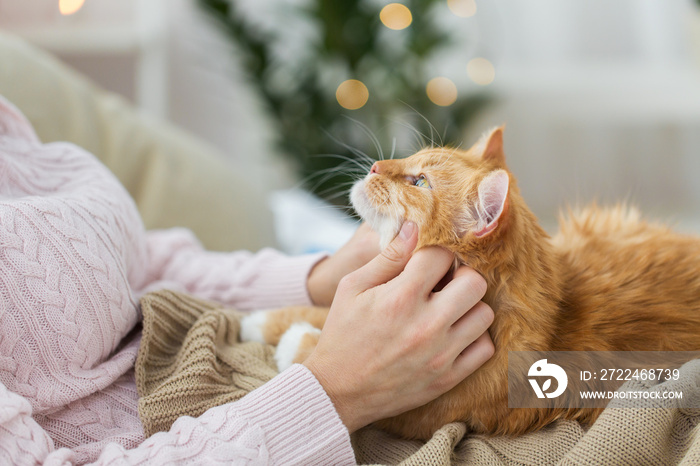 pets, hygge and people concept - close up of female owner stroking red tabby cat in bed at home