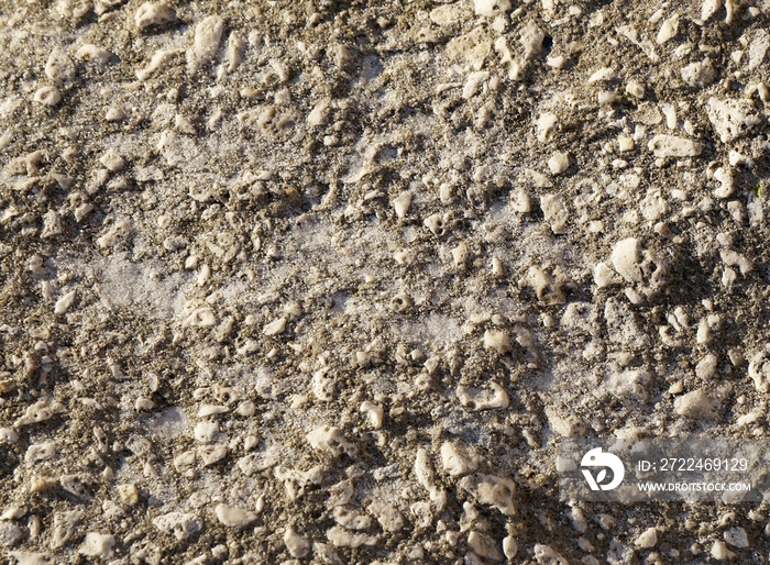 Sand and shells background texture.