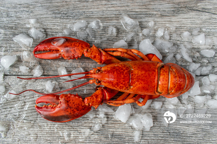 raw red lobster on ice and gray wooded surface flat lay