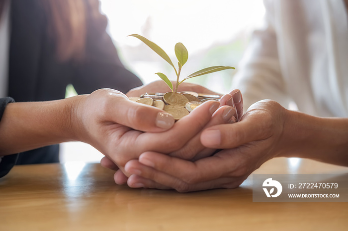 Businessmen teamwork hands with trees growth up on coin and banknote to profit investment mutual fund finance and business. Help and Collaboration Business Concept.