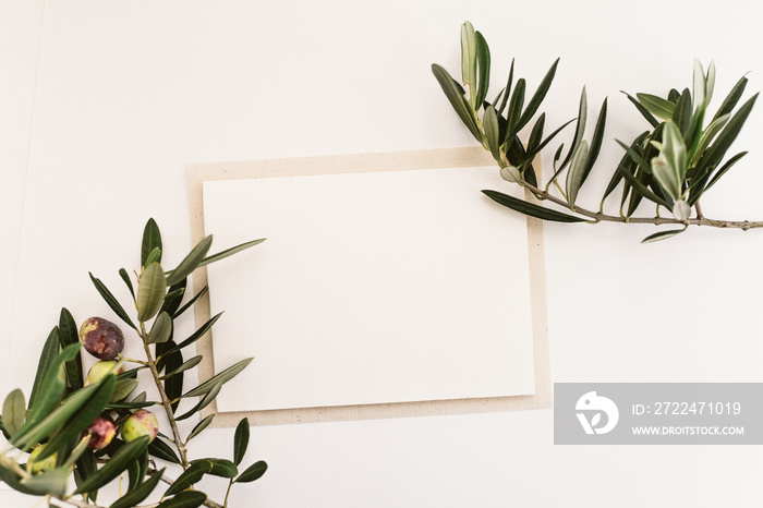 Blank paper and olive branches