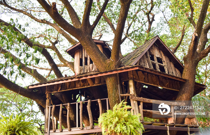 tree house in the garden