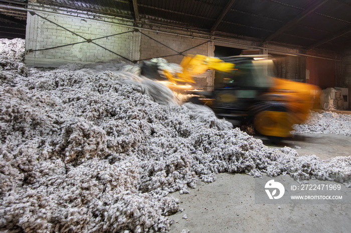Cotton farmer waiting for the tractor trolley to get unloaded in the ginning mill in Denizli, Turkey.