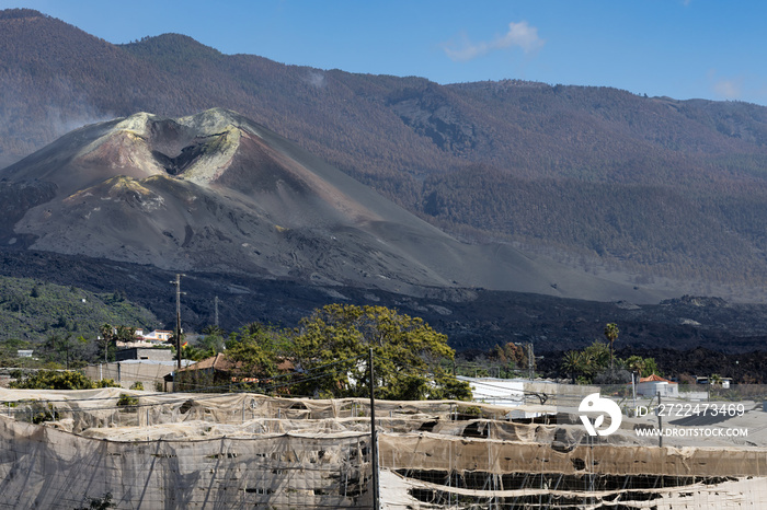 Banana plantations surrounded by lavaflows from volcano at la Palma