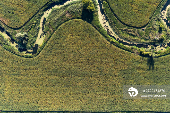 banks of a swampy river, view from above