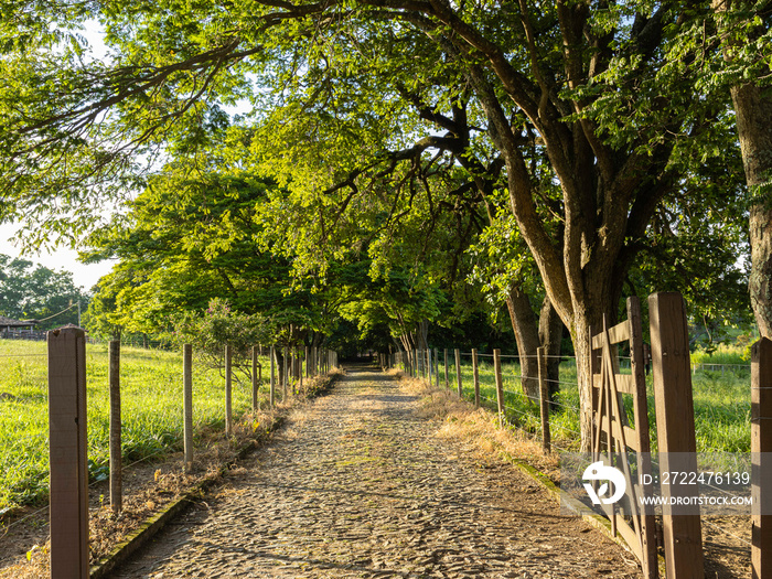 Entering the farm