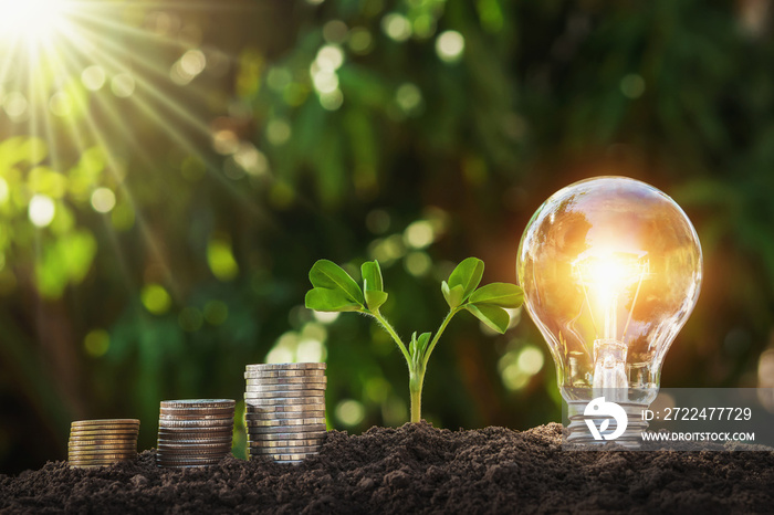 lightbulb with young plant and money stack on soil. concept saving energy and money