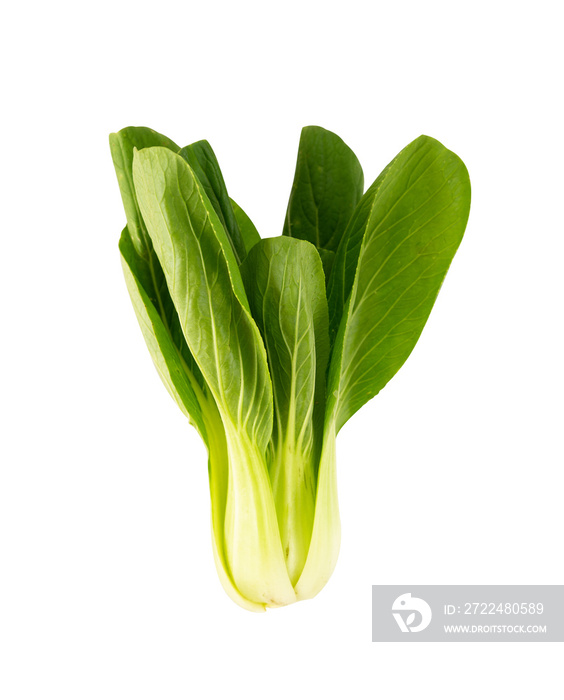 Fresh mustard greens isolated for vegetable design element