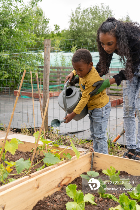 Mother and son watering plants in allotment