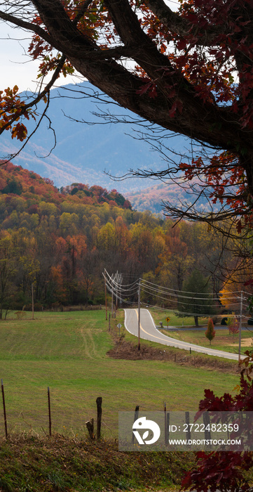 Autumn Color, East Tennessee Countryside