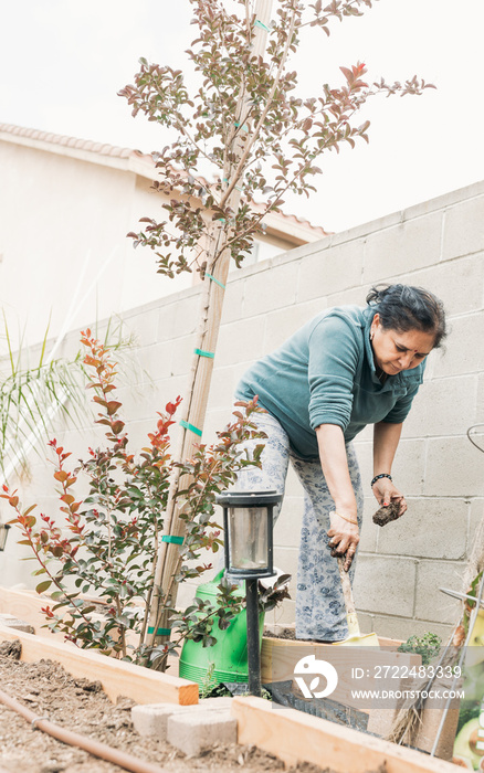 South Asian woman gardening in backyard