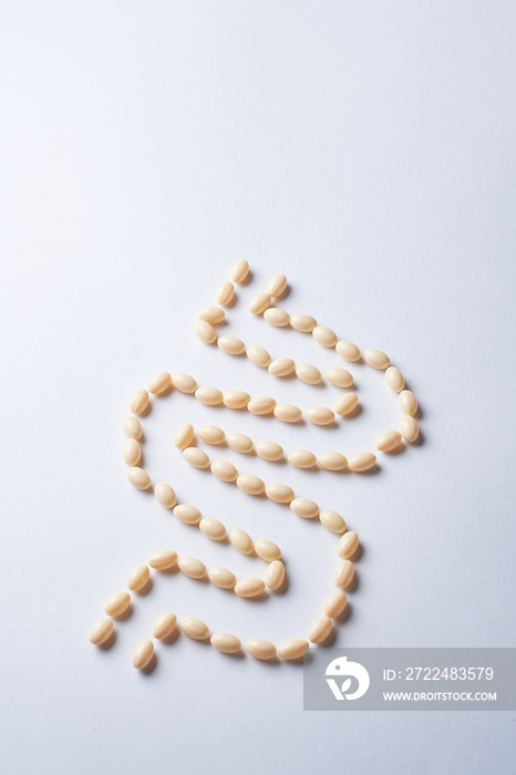 Close up of lactobacillus and probiotic pills forming a human intestine.