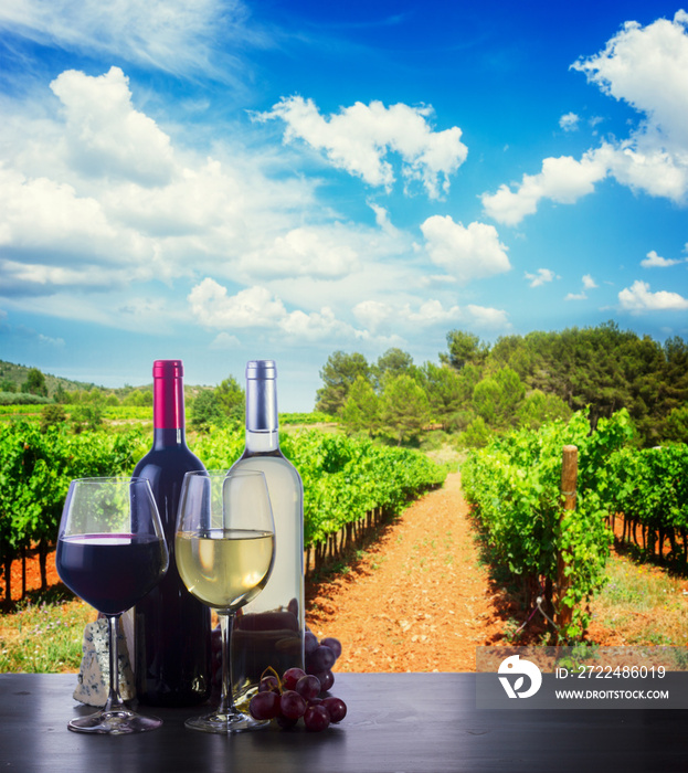 Bottle and glass with white and red wine in vineyard