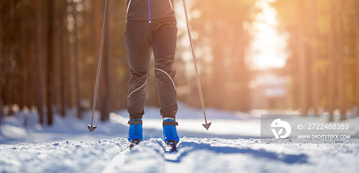 Cross country skiing Banner, winter sport on snowy track, sunset background