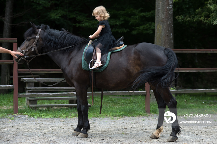 Girl ride on horse on summer day