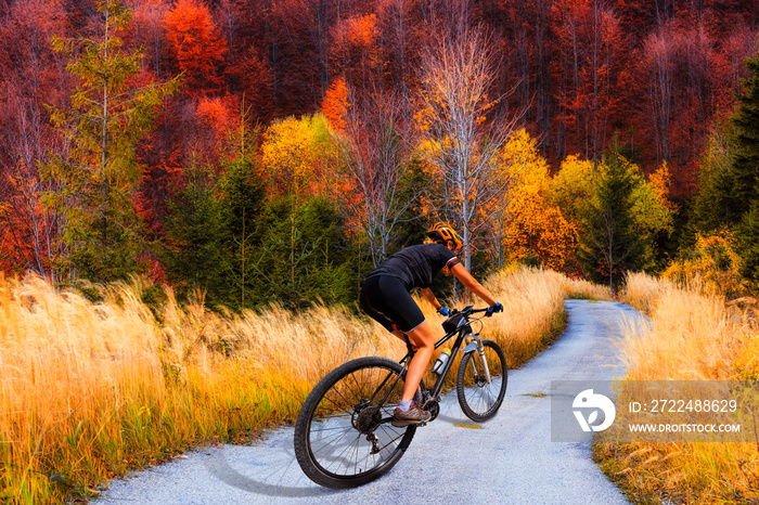 Mountain biking woman riding on bike in summer mountains forest landscape. Woman cycling MTB flow trail track. Outdoor sport activity.