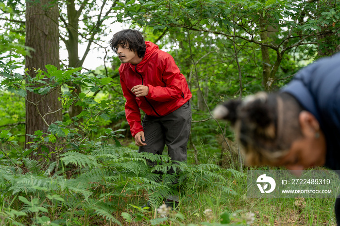 Mother and son picking berries in forest