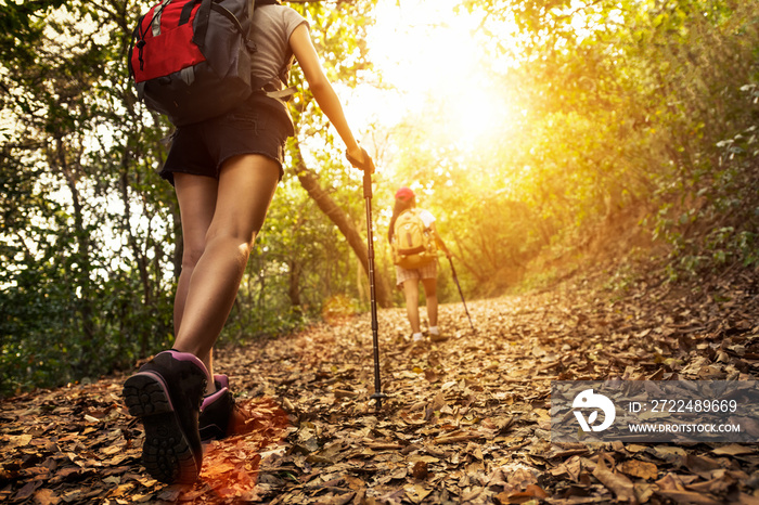 Lady hikers walking in the mountains.