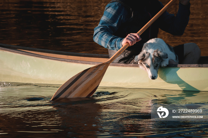 Man with dog in canoe