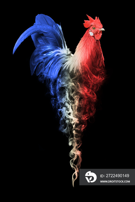 france rooster