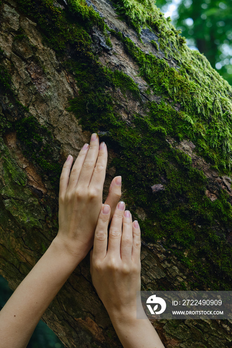 Girl hand touches a tree with moss in the wild forest. Forest ecology. Wild nature, wild life. Earth Day. Traveler girl in a beautiful green forest. Conservation, ecology, environment concept