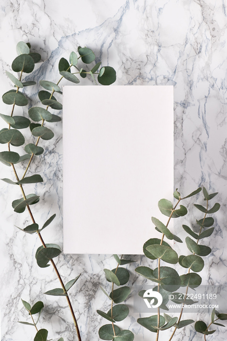 Beautiful abstract floral background. Flat lay, top view eucalyptus on marble background, flat lay on light textured stone table surface. Minimal concept, trendy floral design, copy-space on paper.