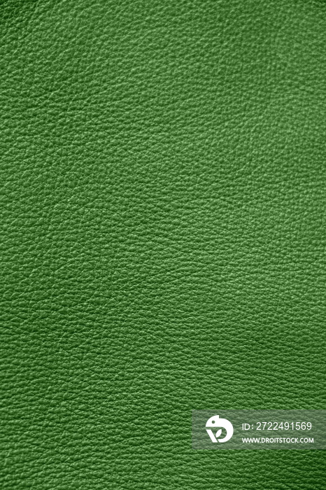 Leather. Green. Gradient. The structure of the skin material close-up.