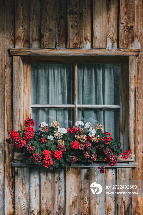 window with flowers