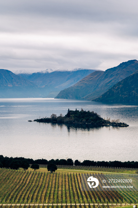 island in a lake by a vineyard