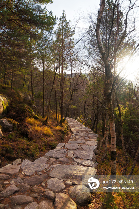 Stony path through the woods. Stony hiking trail in the mountains.