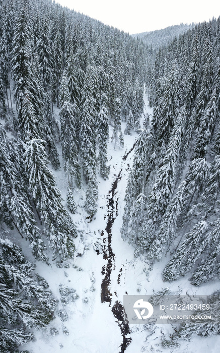 Aerial vertical panorama of a frozen mountain stream flowing through a snowed spruce forest. Winter Season, Carpathia, Romania.