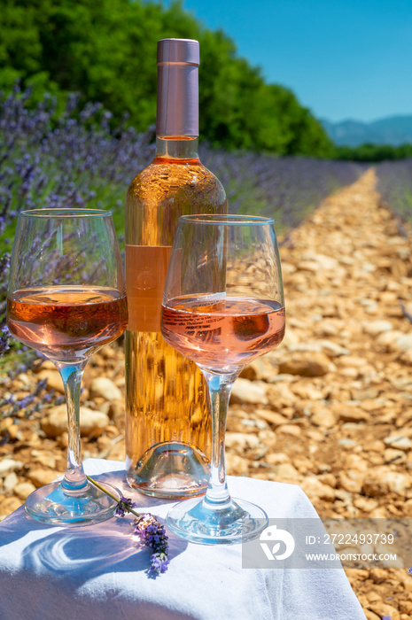 Lavender flowers fields in blossom near Valensole in Provence and glass and bottle of rose wine in sunny day, summer vacation in Provence, France