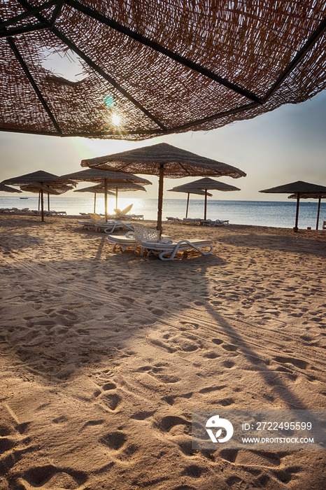 beach in the egypt