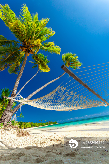 Empty hammock in the shade of palm trees, Fiji Islands