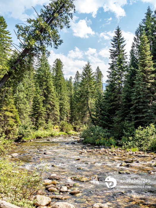 Mountain stream flowing over rocky river bed with trees and blue sky in background.