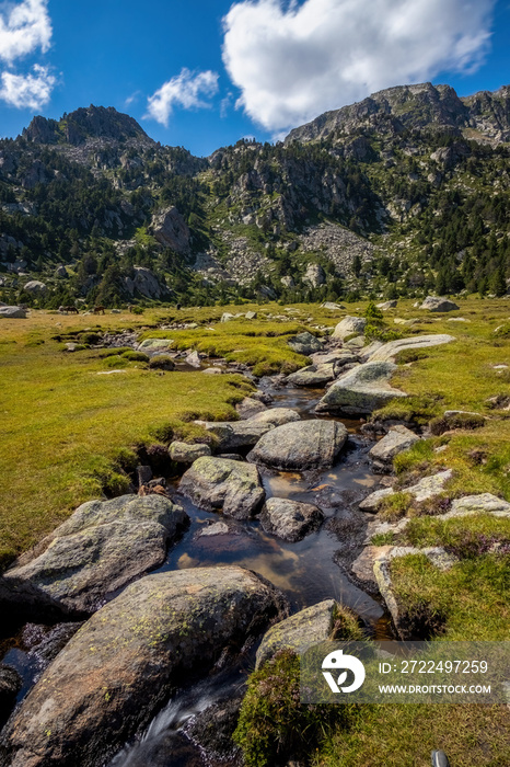 Summer landscape in La Cerdanya, Pyrenees mountain lake, Catalonia, Spain.