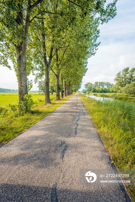 Seemingly endless country road