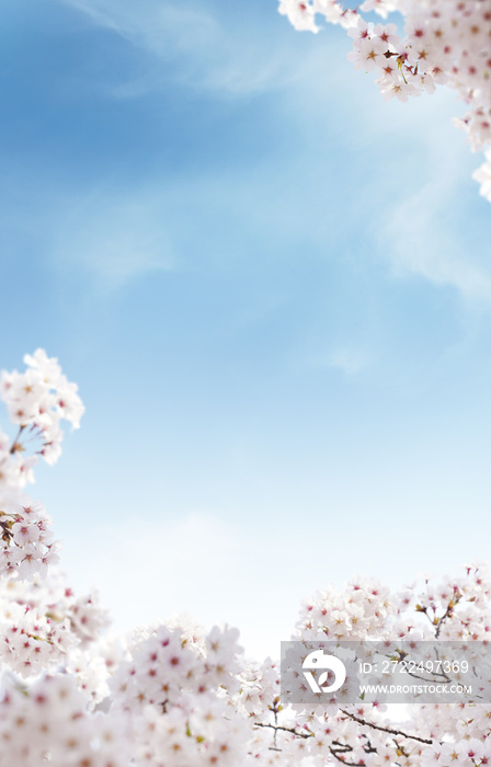 Beautiful spring flowers background, Season theme, hello spring