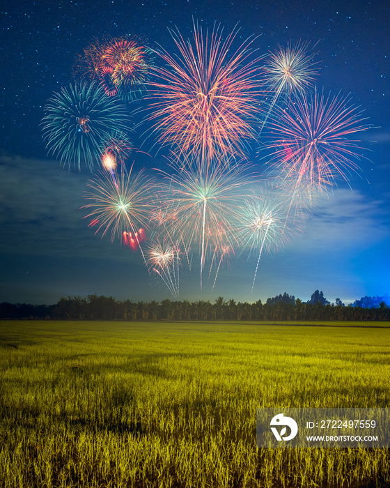 Fireworks in the new year festival