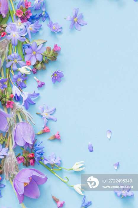 spring flowers on blue background