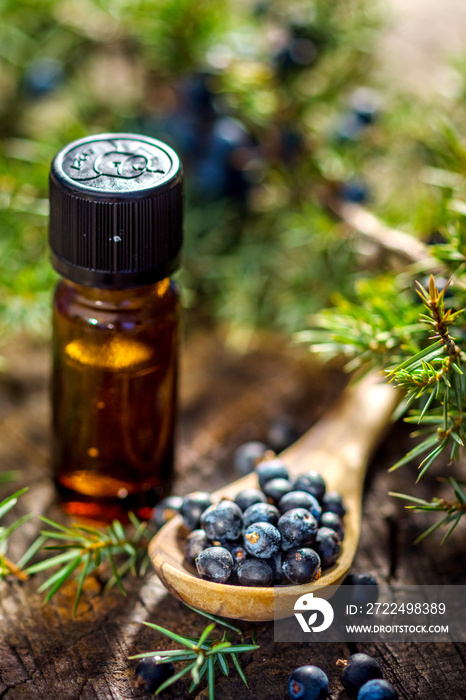 Juniper berries and essential oil