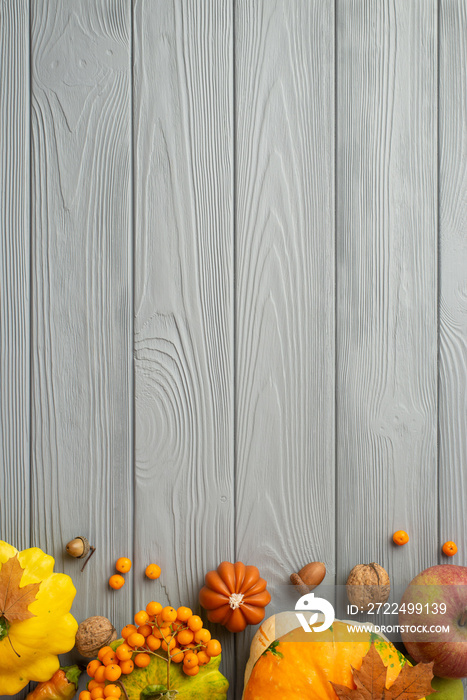 Autumn harvest concept. Top view vertical photo of raw vegetables pumpkins pattypans apple walnuts rowan berries and acorns on isolated grey wooden desk background with empty space