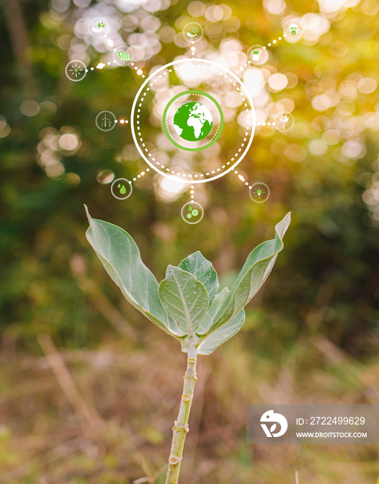 ESG icon concept  environmental,and governance in sustainable on a green background.