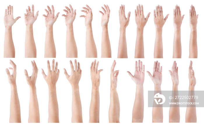 GROUP of Male Asian hand gestures isolated over the white background. Soft Grab Action. Touch Action