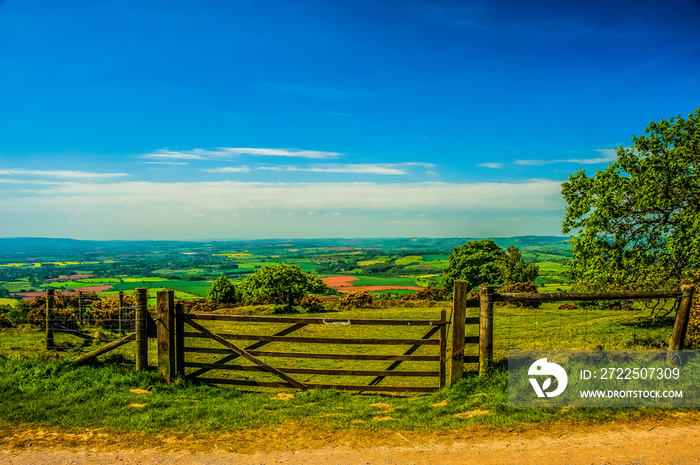 Quantock Hills,  Somerset, England, UK.