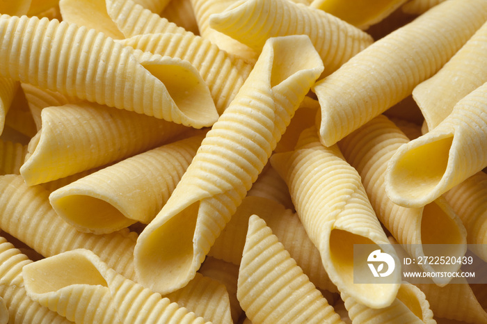 Italian handmade garganelli pasta