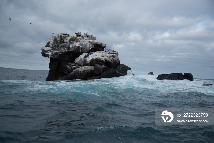 Galapagos wonder