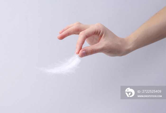 Hand holds soft feather on gray background