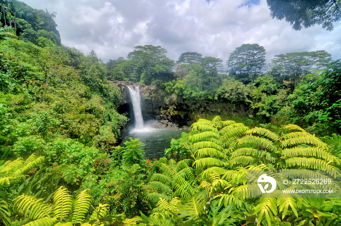 Rainbow  Falls  located in Hilo, Hawaii.